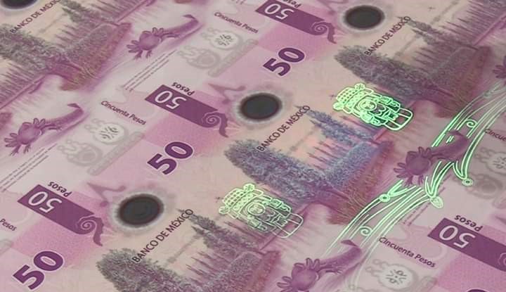 Billetes falsos en Yucatán. Billete de 50 pesos ajolote mexicano.