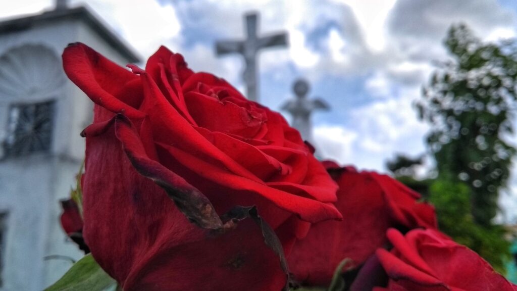 Día de muertos en Yucatán: flores en tumba del cementerio Xoclán.